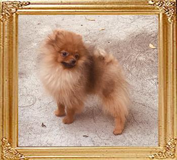Canton_Abigail_Harvey_4mos_6719_final.jpg
