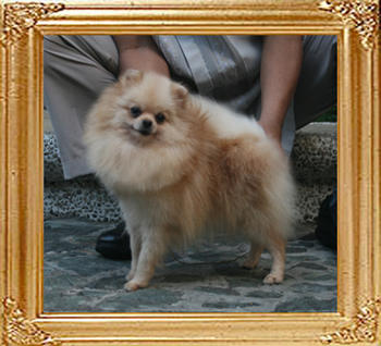 Canton_Bertina_Li_1yr_8mo_5.94lbs_5231.jpg
