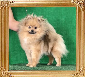 Canton_Bonnie_Clifford_18_mos_4735.jpg