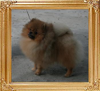 Canton_Bravo_China_10_mon_4.4lbs_8614_final.jpg