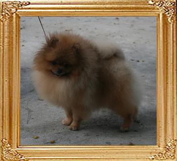Canton_Bravo_China_10_mon_4.4lbs_8636.jpg