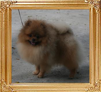 Canton_Bravo_China_10_mon_4.4lbs_8639.jpg