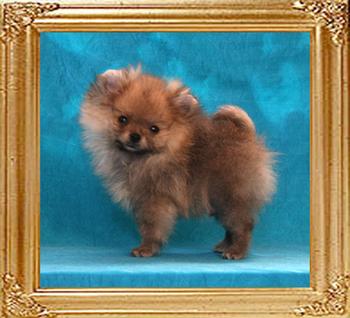 Canton_Cast_A_Giant_Shadow_2mos_1wk_1.1lb_framed.jpg