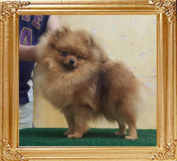 Canton_Fearless_Ingrid_1_9mos.jpg