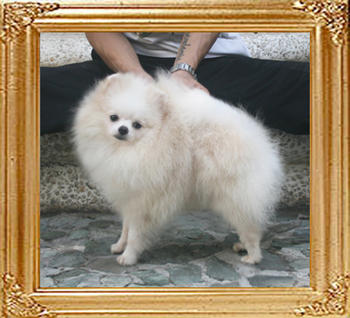 Canton_Geruld_Butler_10mon_1wk_P6-6_3.9lbs_6748.jpg