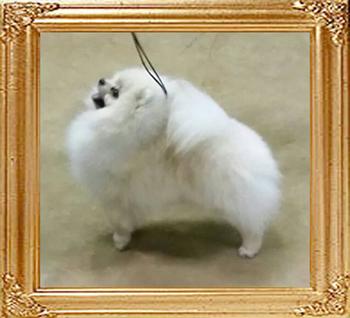 Canton_John_Lennon_.jpg