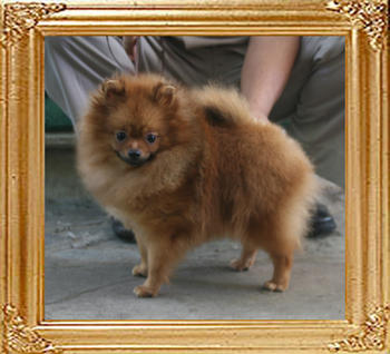Canton_Kati_Nesher_9mo_5.06lbs_9651.jpg