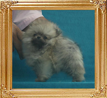 Canton_Katrina_Wayne_099lbs_2mo_1wk_P6-6_7449.jpg
