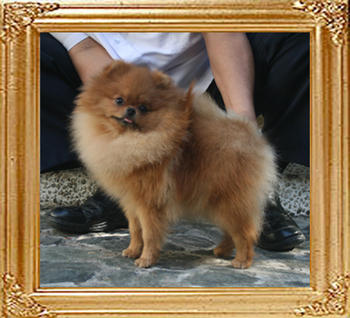 Canton_Magdalena_Jasek_1yr_4.62lbs_3941.jpg