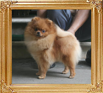 Canton_Magdalena_Jasek_1yr_4.73lbs_2636.jpg