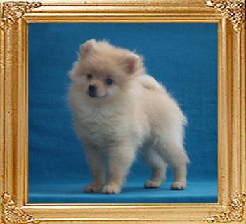 Canton_Mountain_Mama_2mo_4wk_2.6lbs_2783.jpg