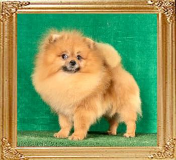 Canton_Quick_Money_2_yrs_5_mos_9695.jpg