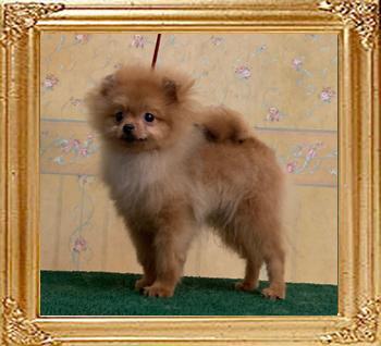 Canton_Raeden_6mos_2wks_9469.jpg