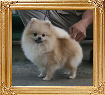 Canton_Regina_Star_4.6lbs_1yr_3mo_9718.jpg