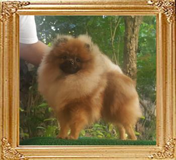 Canton_Richard_Gene_9mos.jpg