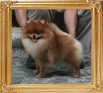 Canton_Selena_Li_1yr_3wk_4.4lbs_9148.jpg