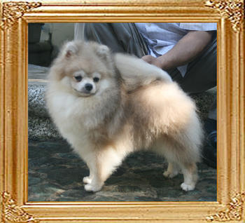 Canton_Silver_Beam_6.38lbs_9mo_4804.jpg