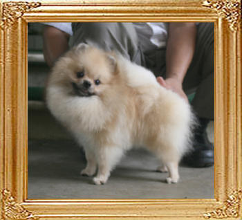 Canton_Something_Silver_5.06lbs_1yr_9mo_5585.jpg