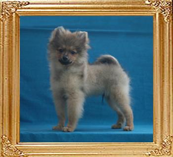 Canton_Sunrise_Kagney_3mo_3wk_3.5lbs_3577.jpg