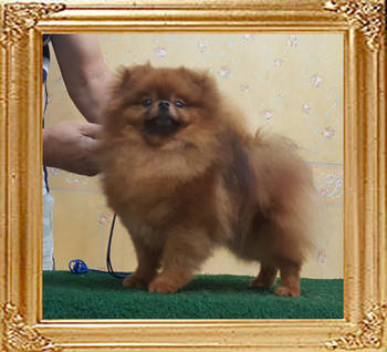 Canton_Theba_Twister_1yr_7mos.JPG