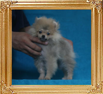 Canton_Tilda_Lindstam_P6-4_1.76lbs_3mo_2wk_2649.jpg