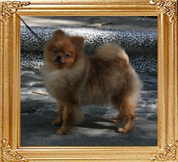 Canton_Twist_Twister_4lbs_at_6mmo_7837_.jpg