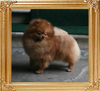 Canton_Twist_Twister_9mo_2wk_4.8lbs_1528.jpg