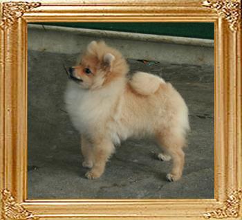 4.6lbs at 3weeks 4months Canton_Unbelievable_4mo_3wk_4.6lbs_2_47642.jpg