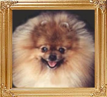 Doo-Shays_Baby_Face_Nelson_Ch_10134.jpg