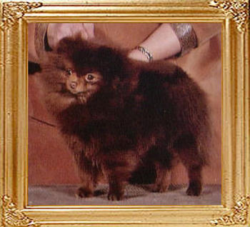 Janesas_Esther_Price_47783.jpg