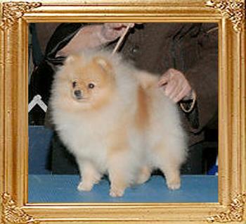 Janesas_Magic_Touch_47786.jpg