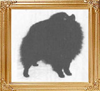 Peninans_Black_Topper_of_Salvadure_3500.jpg