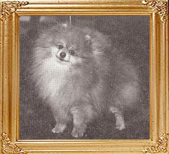Queenaire_Double_Scotch_Ch_38559.jpg
