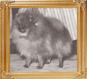 Queenaire_Regal_Duchess_Ch_38580.jpg