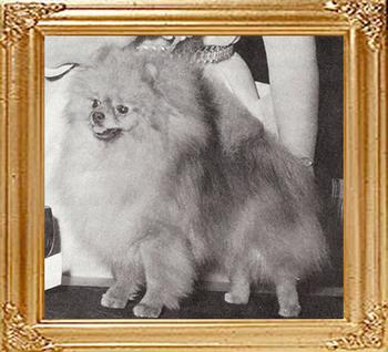 Queenaire_Scotch_N_Soda_Ch_9685.jpg