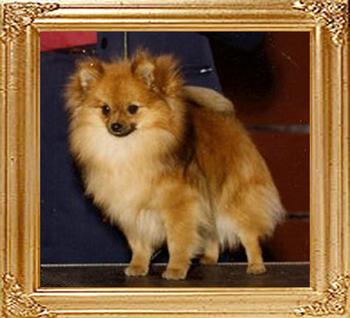 Southlands_Fudge_Double_Dip_5050.jpg