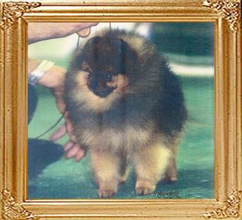 Southlands_Jack_In_The_Box_Ch_10586.jpg