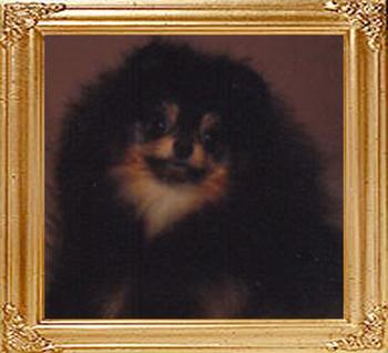 Sweethearts_Wee_Cinna-Bear_40141.jpg