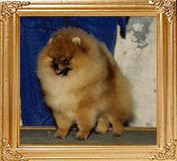 Texicans_Robert_Redfurred_Ch_17236.jpg