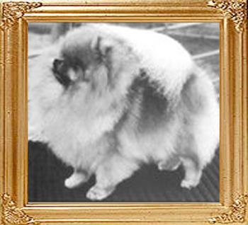 Thelbern_Mardi_Gras_Ch_47913.jpg