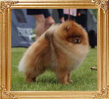 Tiny_Fellows_U_Got_The_Look.jpg