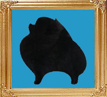 black_8x10.jpg
