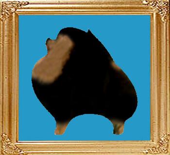 black__tan.jpg