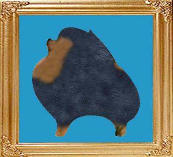 blue__tan_8x10.jpg