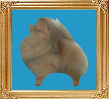 cream_8x10.jpg