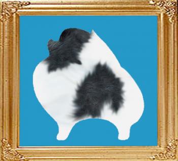 parti_blue_8x10.jpg