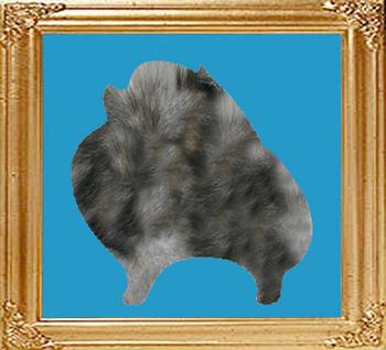 silver_brindle_8x10.jpg
