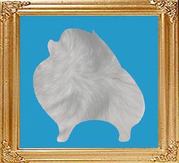 wolf_sable.jpg
