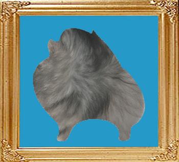 wolf_sable.jpg