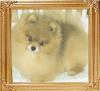 10542z_Rodis_Rain_Beaus_Bodyguard_Ch.jpg
